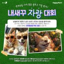 우정덴탈 이미지