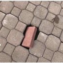 2020 코로나블루 극복하기 이미지