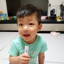 신도바이오실크 | 어린이 단백질 단븨 푸룬맛 너무너무 잘먹어요!