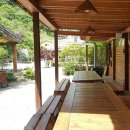 숲속옹달샘도서관 이미지