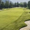 아난티CC 이미지