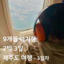 🍼 9개월 아기랑 2박 3일 제주여행, 셋째날의 기록 ✈️
