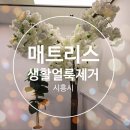 태평세탁 | 경기도 시흥시 하상동 연꽃마을연성지구태평1단지 매트리스홈케어