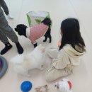 공간 페로 이미지
