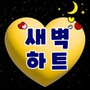 [하트총공] 23시 ~ 7시 하트 캡처 댓글 + 하트인증 게시판에 인증글도 올려주세요 ❤️❤️ 이미지
