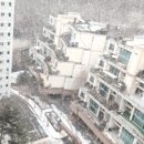 호평파라곤마트 이미지