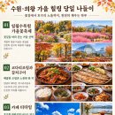 ▶10월 24일 (토 : 낮3시10분) 서수원.의왕 – “꽃에서 태어난 소녀, 엄지공주” 이미지