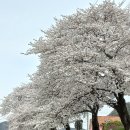 영창상사 이미지