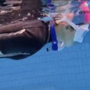 샘아쿠아라인 이미지