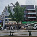 보령약국 이미지