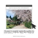 창원 목재문화체험장 | [창원]진해군항제 창원벚꽃명소 목재문화체험장 진해 드림파크 창원 아이랑 가볼만한곳 주차 창원 근교...