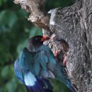 연일읍 중명리 이미지