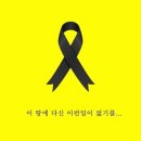 닥터고운선 네이버블로그