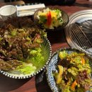 고기살롱 - 충주시 원앙5길 14 | [홍대]홍대입구역 맛집 고기집, 구워줘서 더 맛있는 고기살롱 후기!