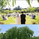 용산-427 이미지