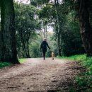 공용화장실 이미지