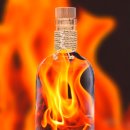 베이비파크(코솜코리아) 이미지