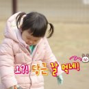 경완목장 네이버블로그