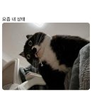 피디보드카페 | 2026 01~07