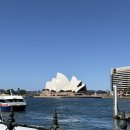 행복의아침 빌딩 | 시드니 행복 많이 된다 6 | 호주 시드니 여행 시드니 오페라하우스 주말 마켓 록스마켓 젯스타 후기