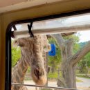 삼용농장 이미지