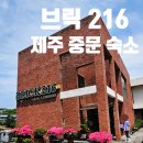 브릭 216 이미지