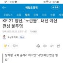 KF-21 내년 예산편성 불투명. 이미지