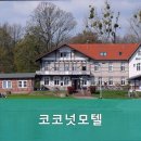 코코넛 모텔 이미지