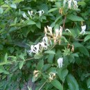 (주)인동 이미지