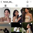 포레스트 랩(FOREST LAB) 이미지