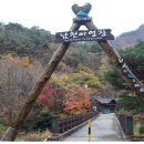 소백산국립공원 남천야영장 이미지