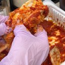 농협김치유통 | 선화동 매운 실비김치 내돈내산 후기 매운김치 파김치 솔직 리뷰