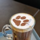 애견카페 제니콩콩 이미지