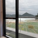 자연임실치즈피자 티스토리