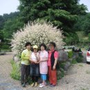 아산사슴 건강의 집 이미지