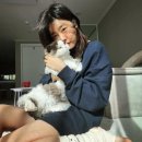 미호컴퍼니 이미지