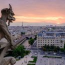 성심외국어대학 이미지