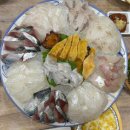 환성물회 | 속초 현지인 맛집 파도소리 횟집 내돈내산