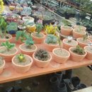 참살이농원 이미지