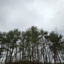 웰그린농장 이미지