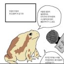 늘 헌 집만 받던 두꺼비 근황 이미지