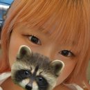 라모카 | 오렌즈 빅글로이 라벤더, 모카브라운 후기