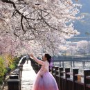 창녕 영산 만년교 이미지