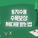 수목보상 제대로 받는 법! 이미지