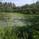 최영장군 영당 이미지