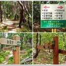 소석농장 이미지