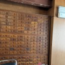 돌핀99 이미지