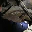 연막경로당 이미지