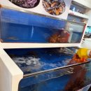 해보어린이집 이미지