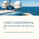 한국지엠상주바로서비스 | 스타링크 요금제 총정리│한국 서비스 시작! 휴대용 스타링크 실제 사용 후기(데라완·리브어보드)